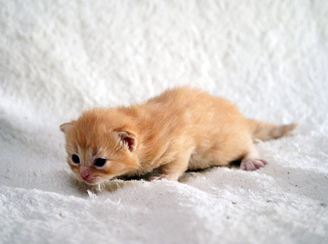 Ole am 8. März 2025